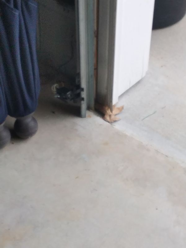 Garage door job photo #184